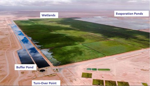 UER – Water pumps energy saving through wetland treatment solution at Oman